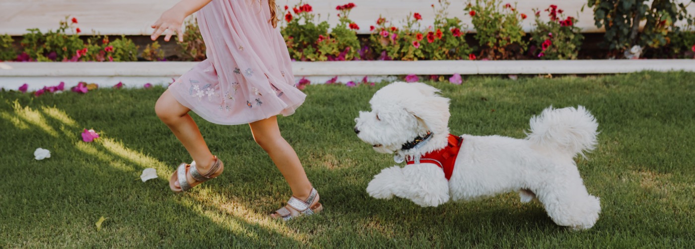 DogWatch of Omaha, Omaha, Nebraska | Outdoor Hidden Dog Fences Slider Image